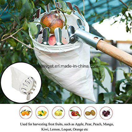 Fruit Picker Head Basket Picking Tools (ESG10326)